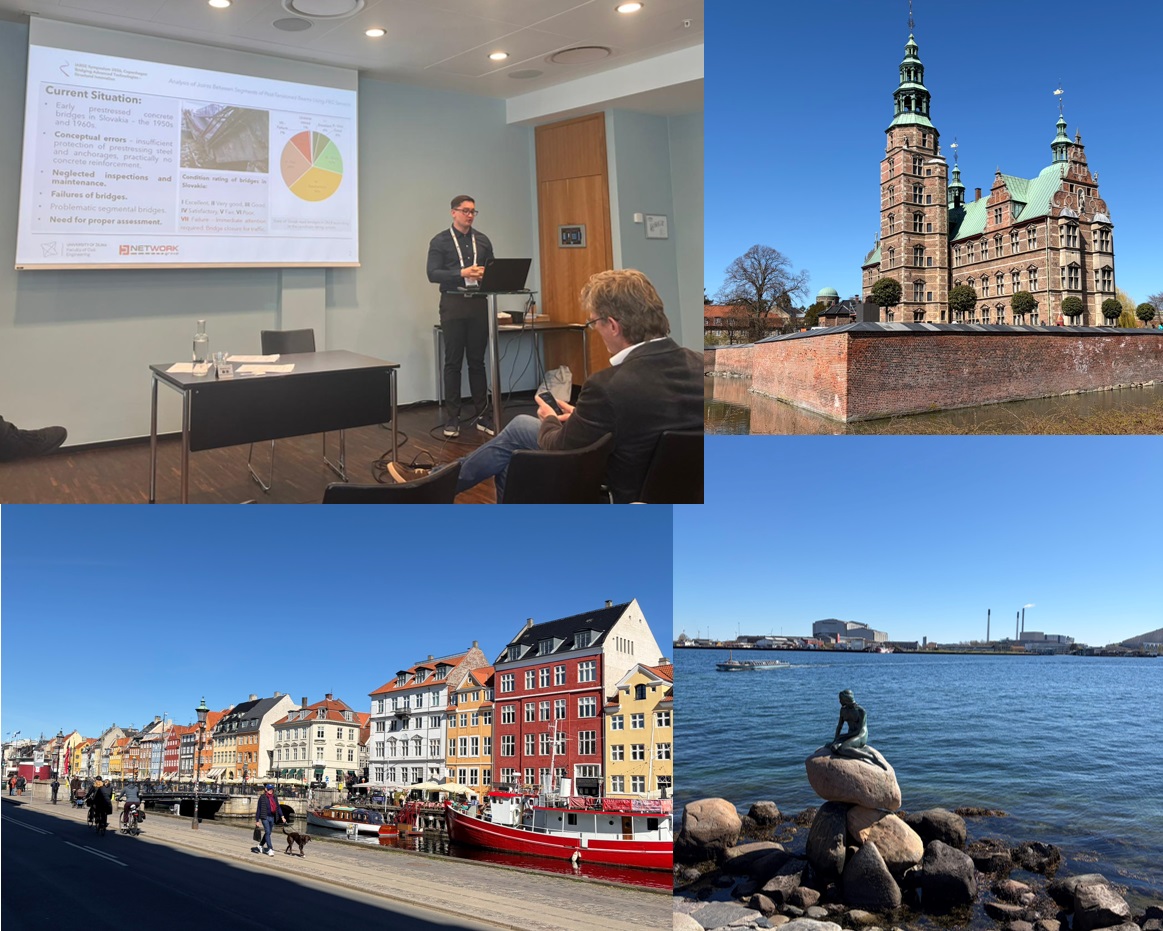 kralovanec dansko.jpg